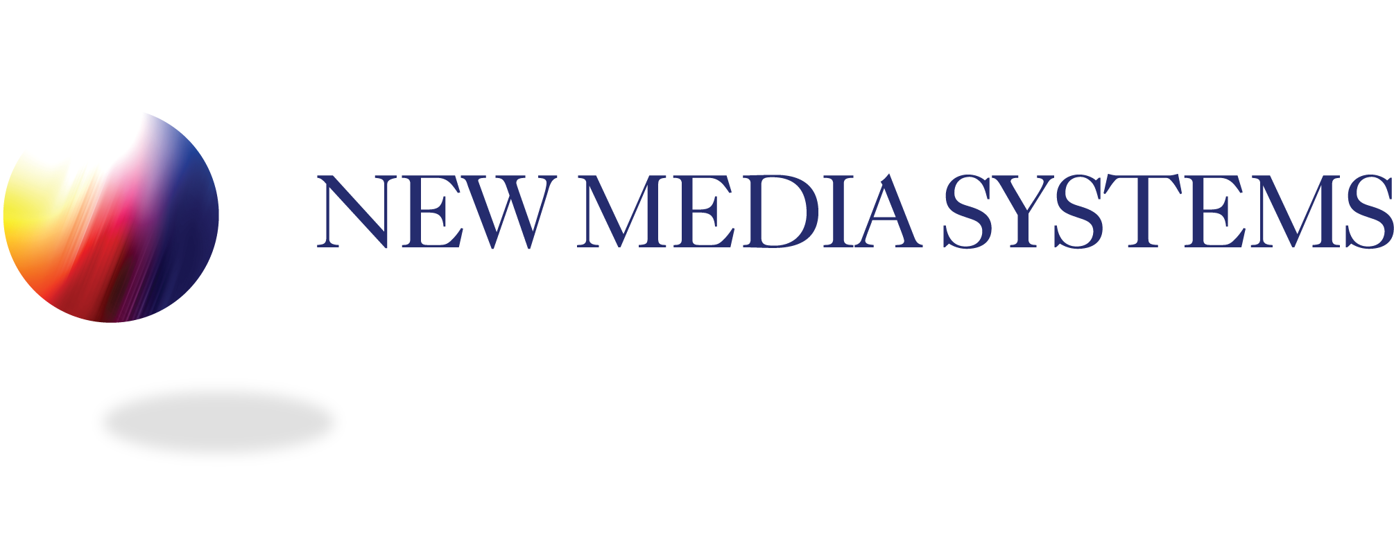 New Media Systems